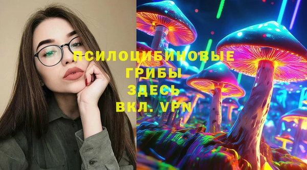 кокс Баксан