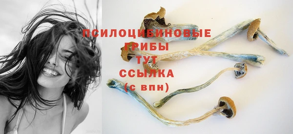 СК Балабаново