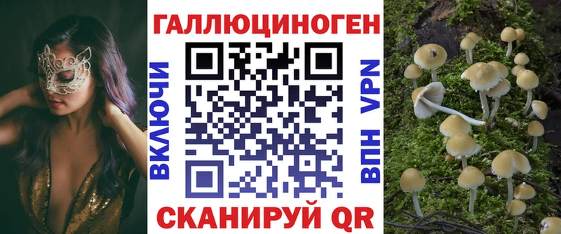 наркошоп  Калуга  Галлюциногенные грибы Cubensis 